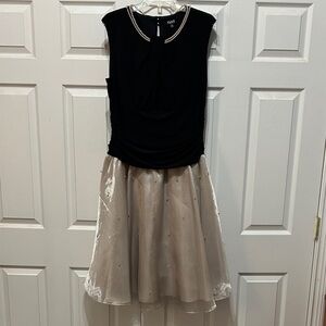 Elegant Black and Champagne Women’s Dress